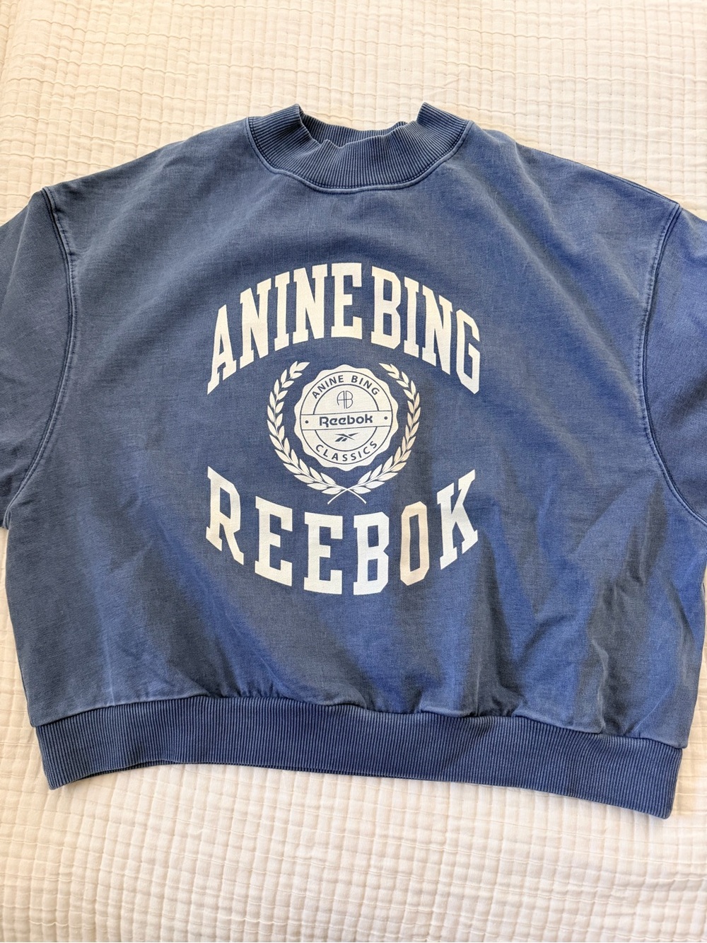 Anine Bing Dusty Blue Graphic Crewneck Sweatshirt NWOT